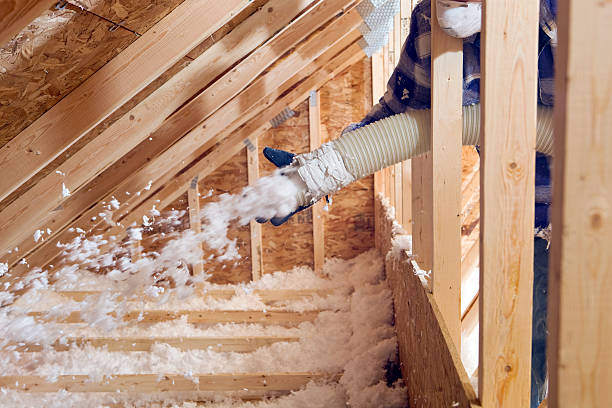 Best Insulation Removal  in USA